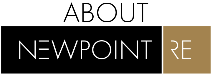 About Newpoint Re logo